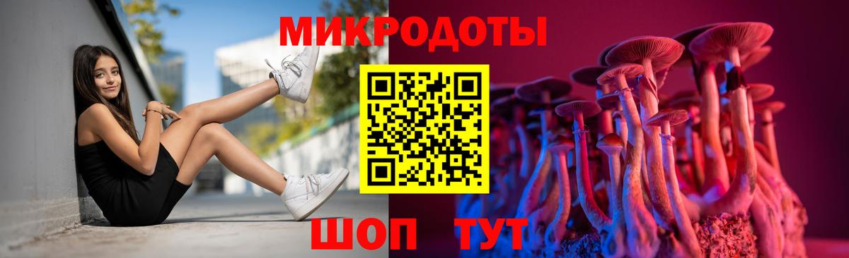 Фрязино  где можно купить   Вход с VPN  Псилоцибиновые грибы ЛСД 
